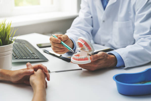Reliable Caseyville, IL Holistic Dental Care Services Solutions